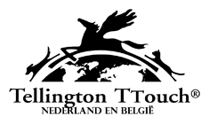ttouch-logo-small-black